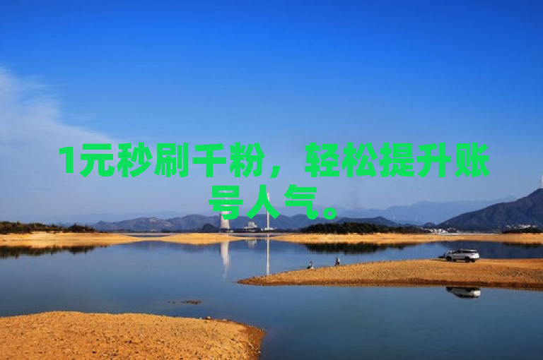 1元秒刷千粉，轻松提升账号人气。