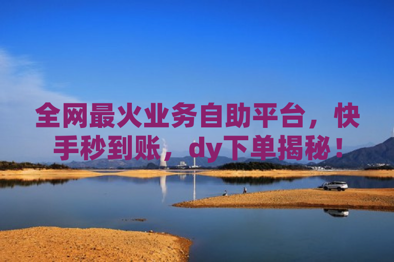 全网最火业务自助平台，快手秒到账，dy下单揭秘！