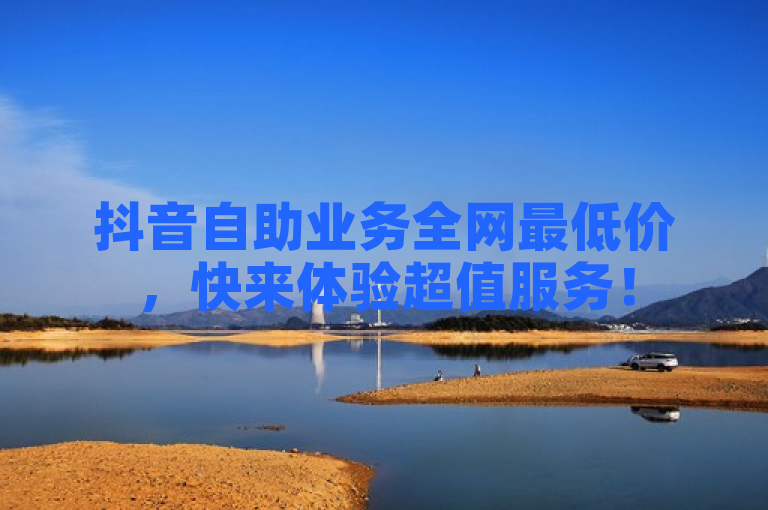 抖音自助业务全网最低价，快来体验超值服务！