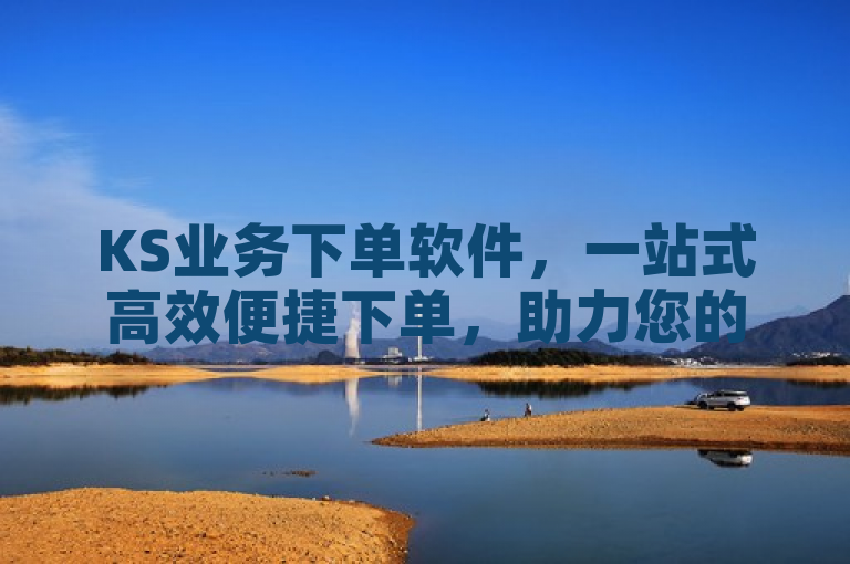 KS业务下单软件，一站式高效便捷下单，助力您的KS业务。