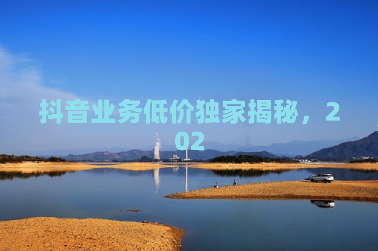 抖音业务低价独家揭秘，2025必学优惠价格策略！