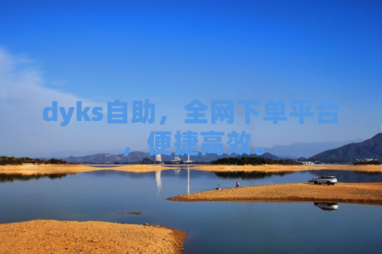 dyks自助，全网下单平台，便捷高效。