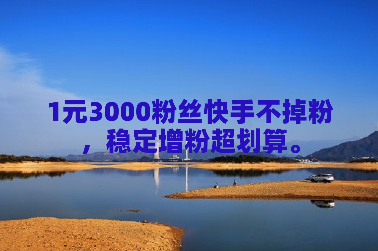 1元3000粉丝快手不掉粉，稳定增粉超划算。