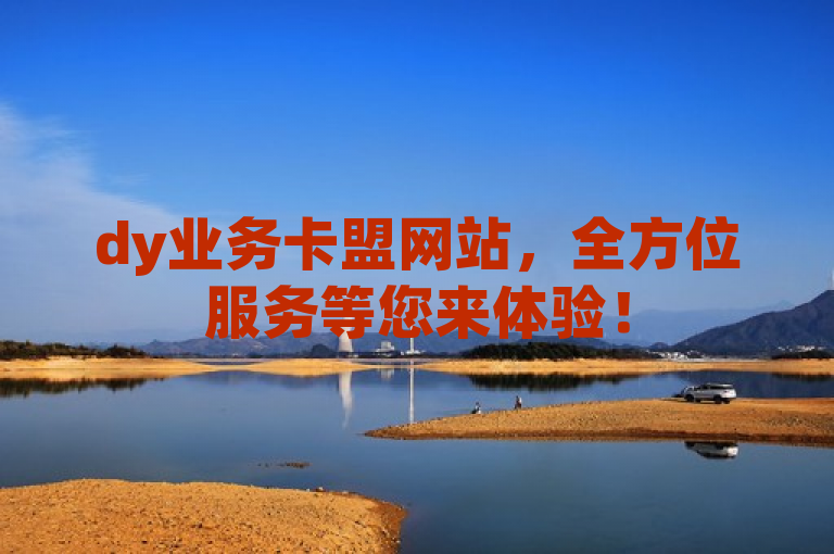 dy业务卡盟网站，全方位服务等您来体验！