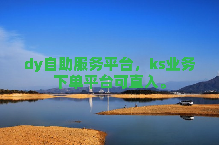 dy自助服务平台，ks业务下单平台可直入。