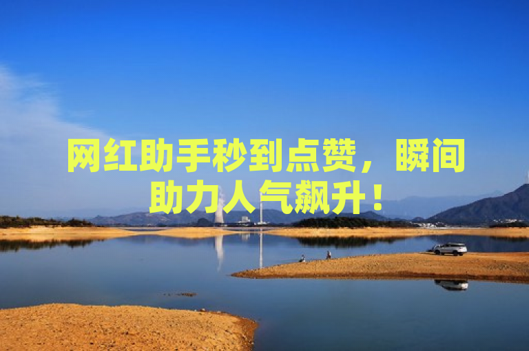 网红助手秒到点赞，瞬间助力人气飙升！