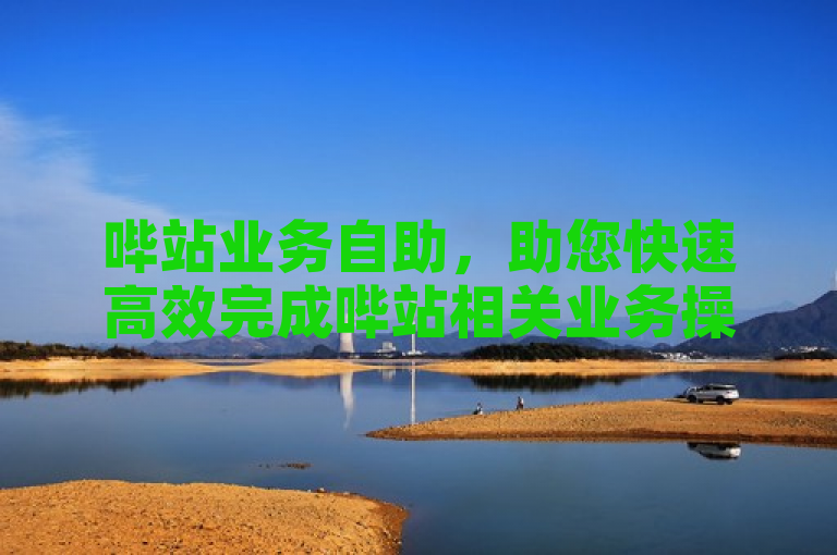 哔站业务自助，助您快速高效完成哔站相关业务操作。