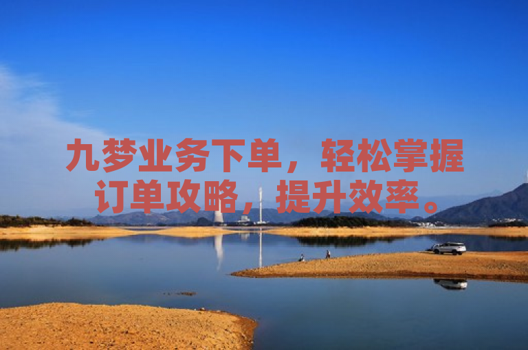 九梦业务下单，轻松掌握订单攻略，提升效率。