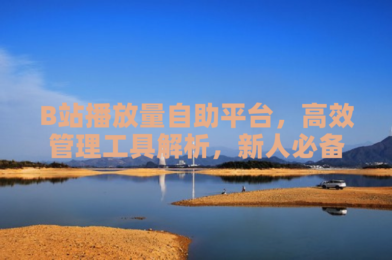 B站播放量自助平台，高效管理工具解析，新人必备！