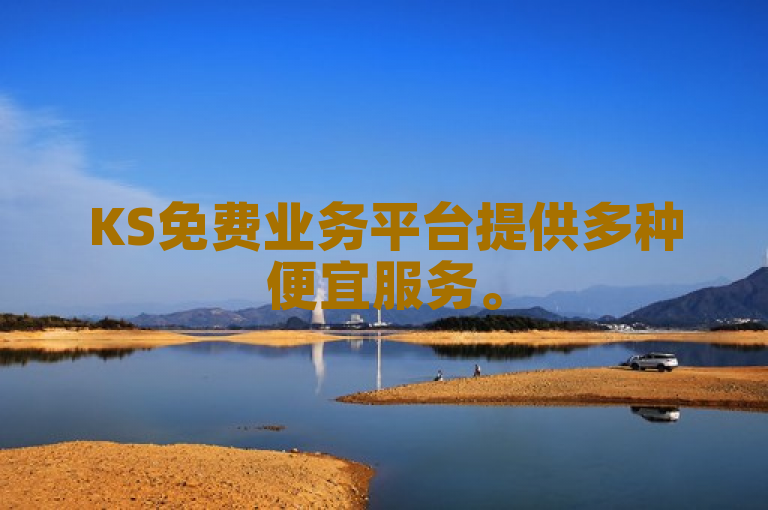 KS免费业务平台提供多种便宜服务。
