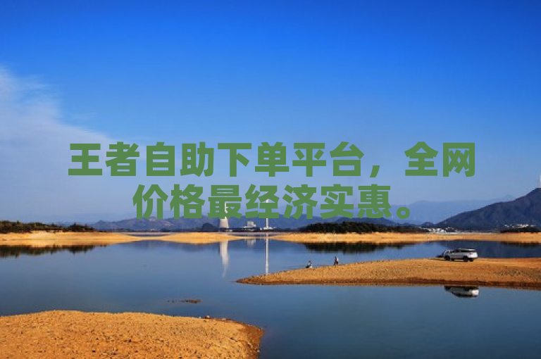 王者自助下单平台，全网价格最经济实惠。