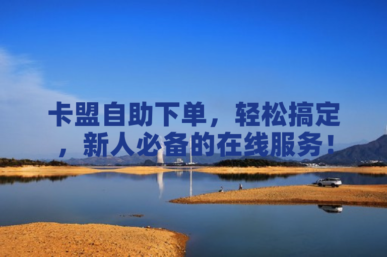 卡盟自助下单，轻松搞定，新人必备的在线服务！