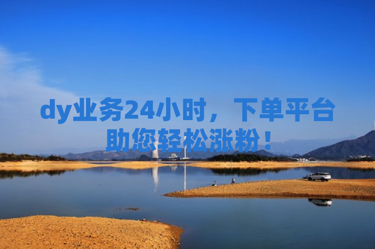 dy业务24小时，下单平台助您轻松涨粉！