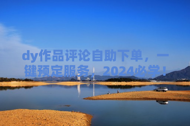 dy作品评论自助下单，一键预定服务，2024必学！