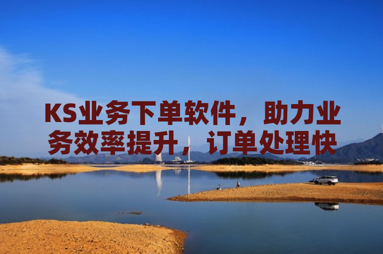 KS业务下单软件，助力业务效率提升，订单处理快速又精准。