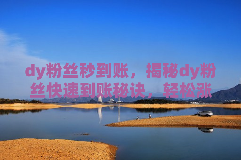 dy粉丝秒到账，揭秘dy粉丝快速到账秘诀，轻松涨粉！