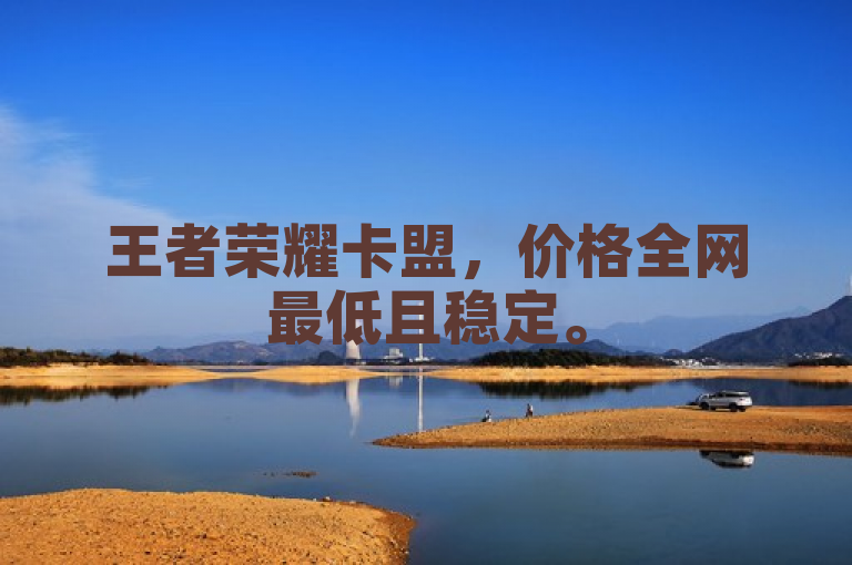 王者荣耀卡盟，价格全网最低且稳定。