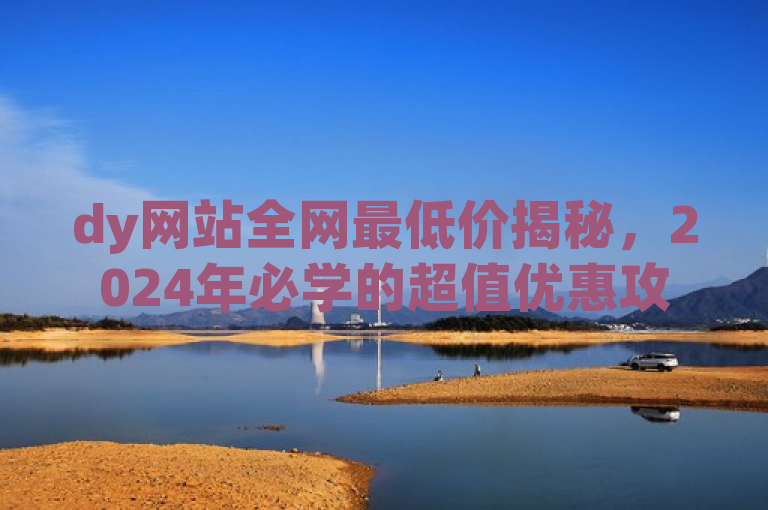 dy网站全网最低价揭秘，2024年必学的超值优惠攻略！