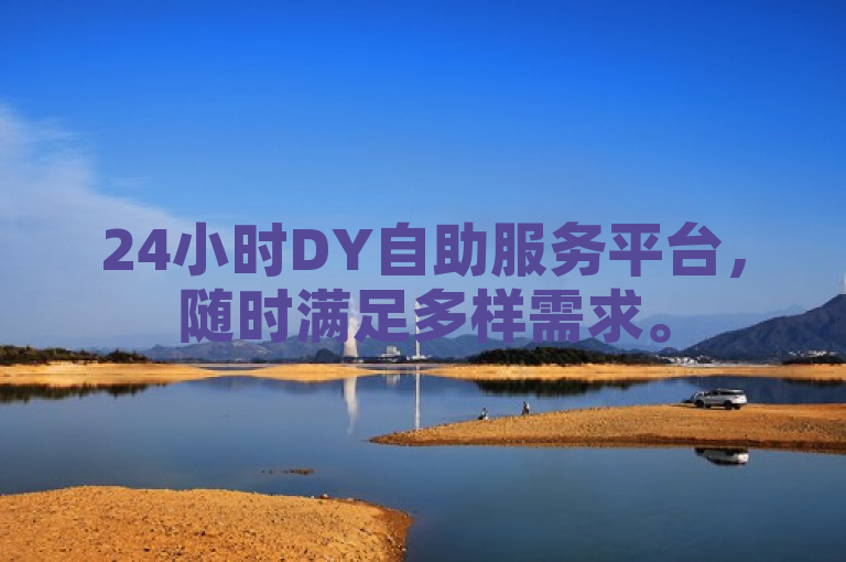 24小时DY自助服务平台，随时满足多样需求。