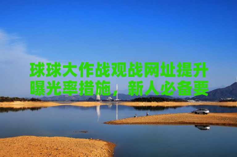 球球大作战观战网址提升曝光率措施，新人必备要点。