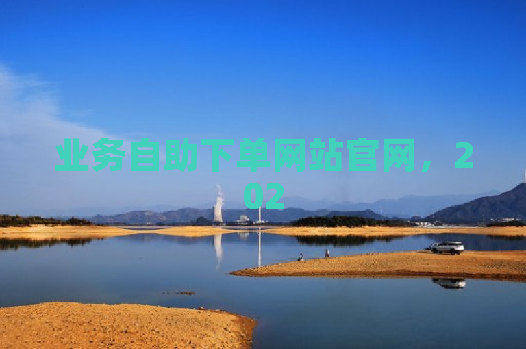 业务自助下单网站官网，2025必学的快速简便下单平台独家揭秘！