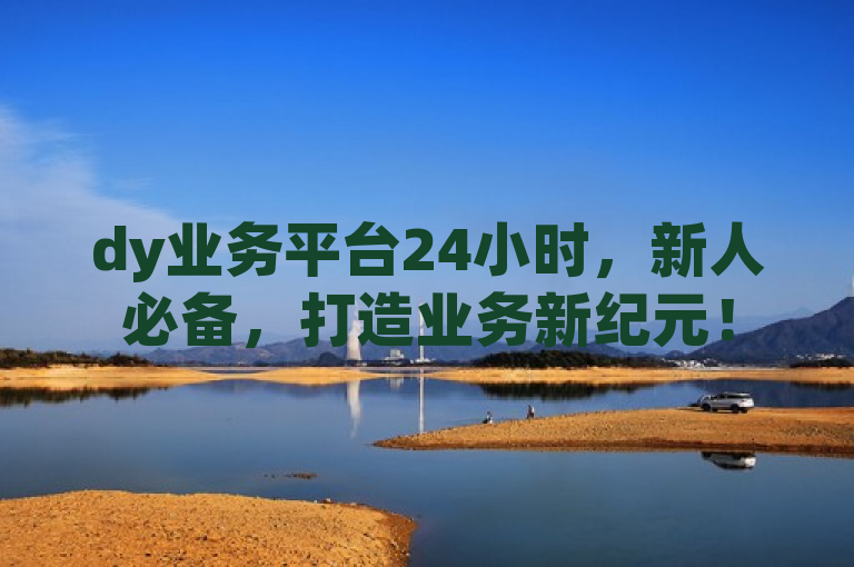 dy业务平台24小时，新人必备，打造业务新纪元！