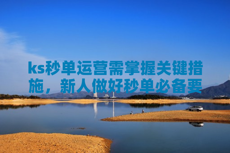 ks秒单运营需掌握关键措施，新人做好秒单必备要点。