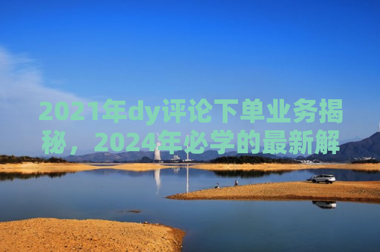 2021年dy评论下单业务揭秘，2024年必学的最新解析！