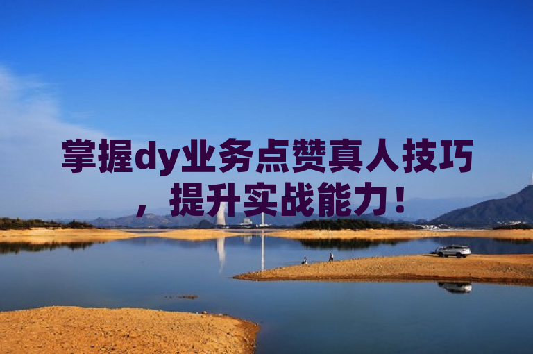 掌握dy业务点赞真人技巧，提升实战能力！