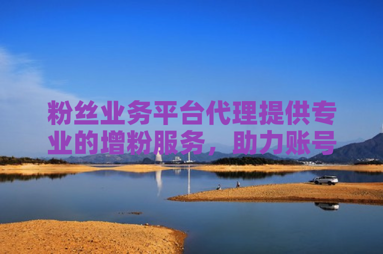 粉丝业务平台代理提供专业的增粉服务，助力账号快速涨粉。