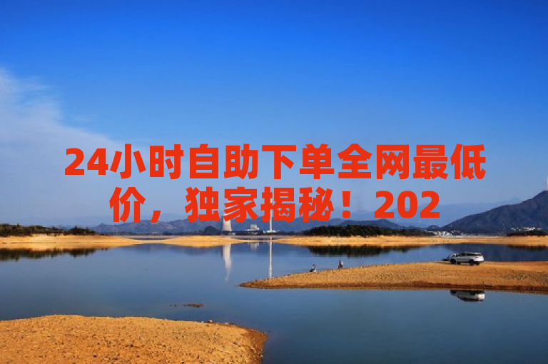 24小时自助下单全网最低价，独家揭秘！2025必学。