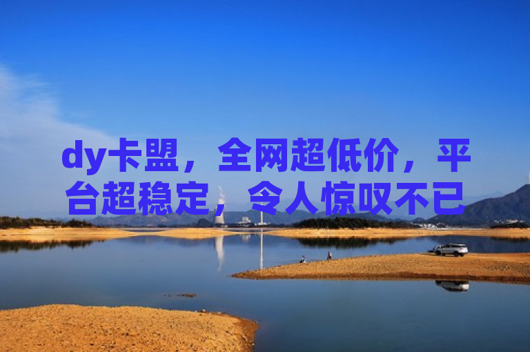 dy卡盟，全网超低价，平台超稳定，令人惊叹不已！
