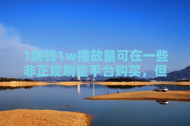 1块钱1w播放量可在一些非正规刷量平台购买，但此举违规且无意义。