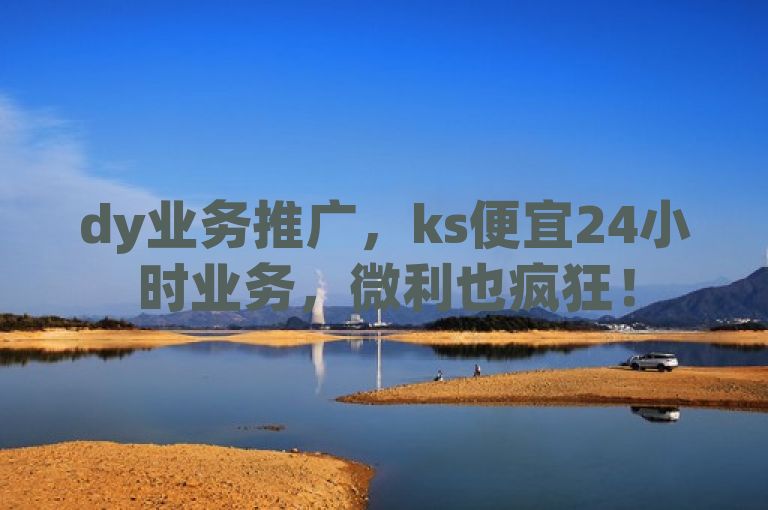 dy业务推广，ks便宜24小时业务，微利也疯狂！