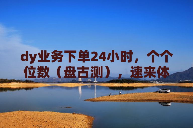dy业务下单24小时，个个位数（盘古测），速来体验！