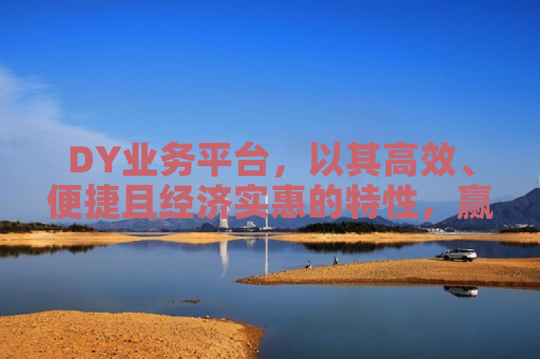 DY业务平台，以其高效、便捷且经济实惠的特性，赢得了广泛好评。