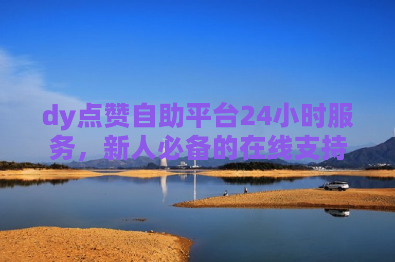 dy点赞自助平台24小时服务，新人必备的在线支持！