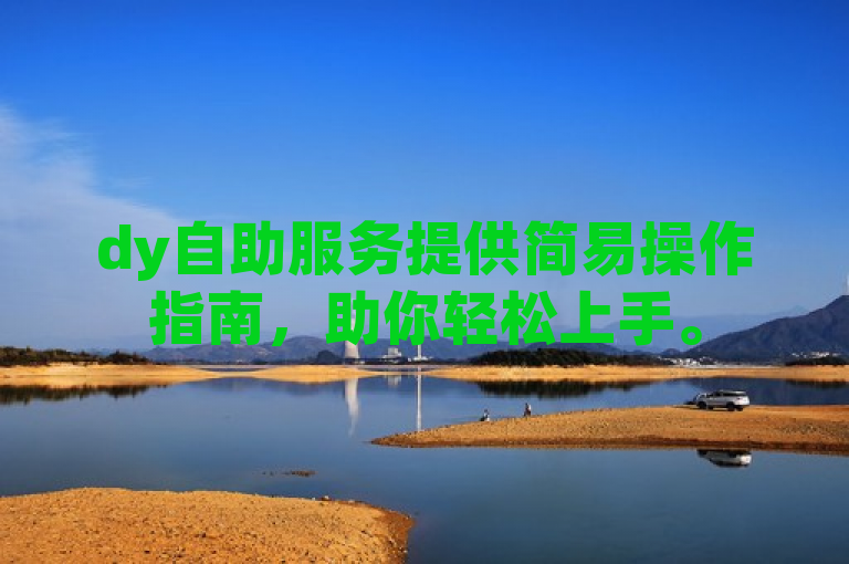 dy自助服务提供简易操作指南，助你轻松上手。