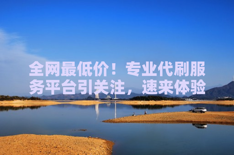 全网最低价！专业代刷服务平台引关注，速来体验！