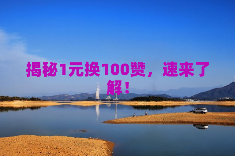揭秘1元换100赞，速来了解！