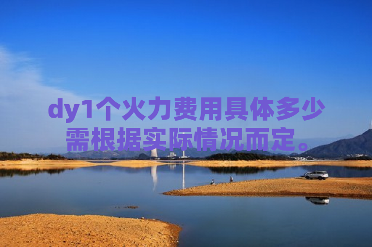 dy1个火力费用具体多少需根据实际情况而定。