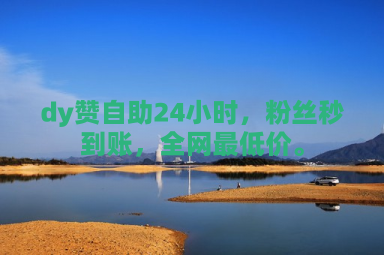 dy赞自助24小时，粉丝秒到账，全网最低价。