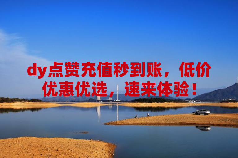 dy点赞充值秒到账，低价优惠优选，速来体验！