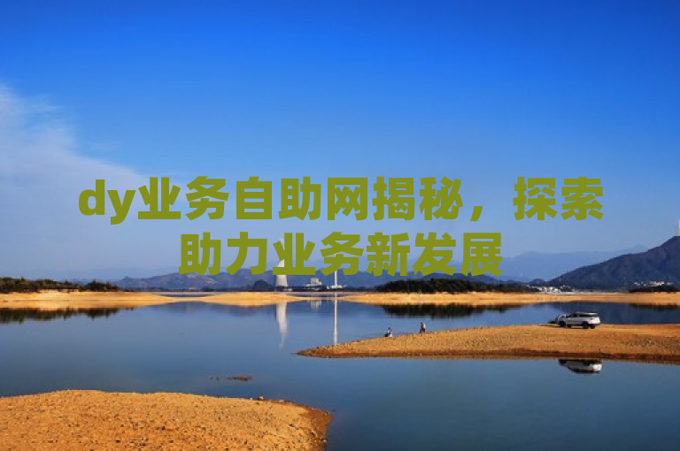 dy业务自助网揭秘，探索助力业务新发展
